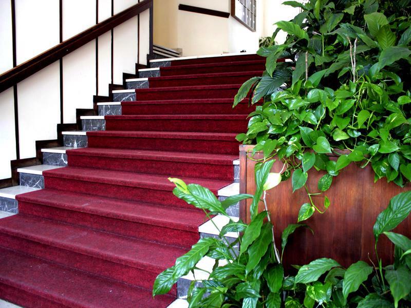 Apartment Casa Camilla City *